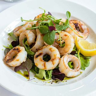 Grilled Calamari