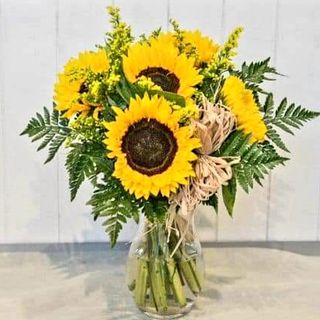 7 girasoli ben confezionati