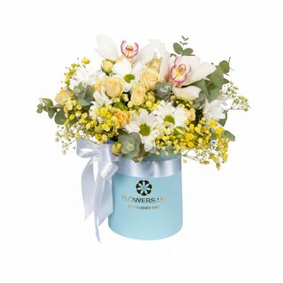 Композиція"Сонячні обійми"з Лемуром