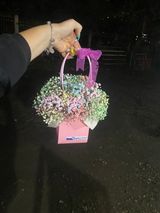 ფერადი გიფსოფილა ჩანთაში