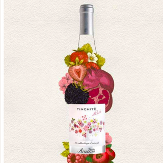 Tinchite Rose, feudo arancio