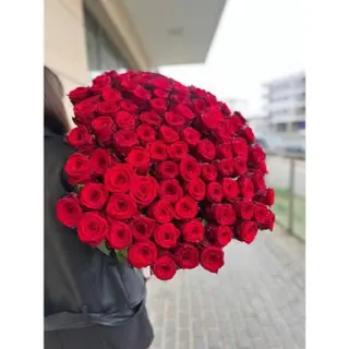 Czerwona Róża 60 cm, 51 szt