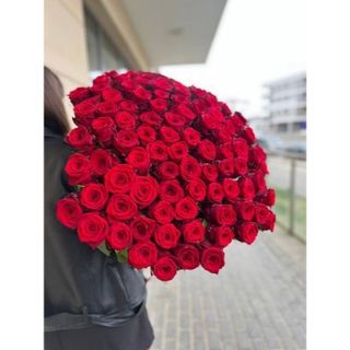 Czerwona Róża 60 cm, 51 szt