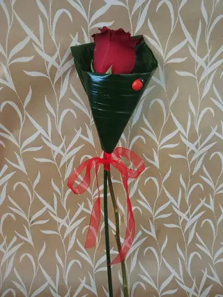 Linha Pura