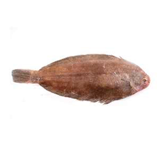 Cabracho Limpio Entero  Kg.