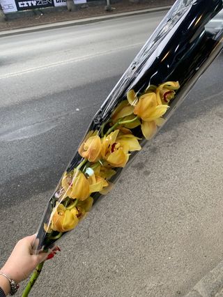 ყვითელი ჰოლანდიური ორქიდეა