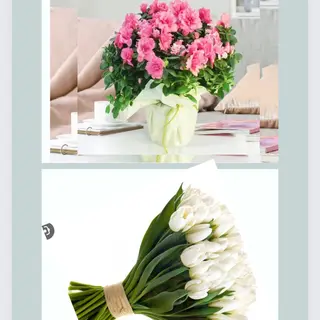 Bouquet + pianta ( tulipani bianchi e azalea)