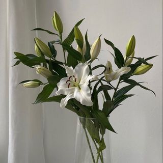 Bouquet de 8 lys orange /blanc avec vase