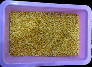 Ceci decorticati 1kg