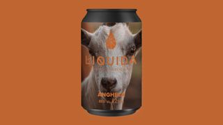 Anghela- Lattina 33cl