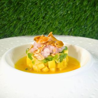 Tartare amaebi