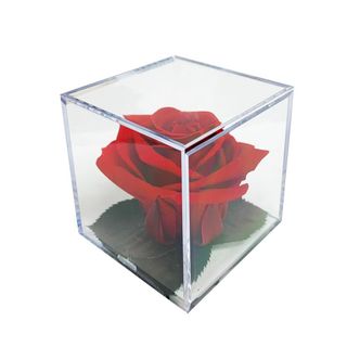 Rose Cube roja
