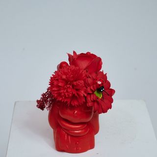 Fetita cu flori rosii