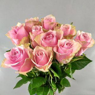 9  рожевих троянд