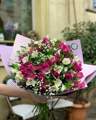 ალსტრომერიების კონა