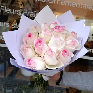 Premium Bordées Roses 15