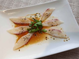 A10 Carpaccio Suzuki