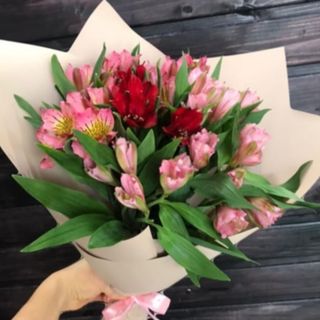 ასტრომერიების მინი თაიგული