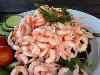 Shrimps (30gr)