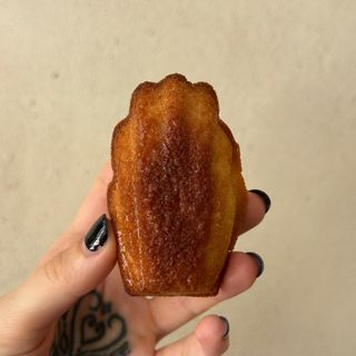 Magdalenka cytrynowa