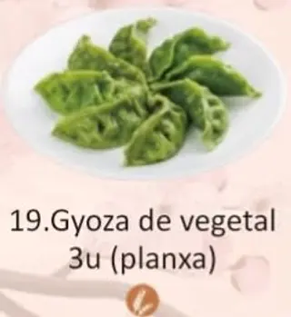 19. Gyoza De Vegetal Planxa (6 Uds.) 