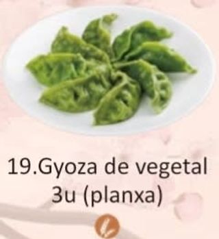 19. Gyoza De Vegetal Planxa (6 Uds.) 