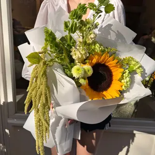Little Sun
