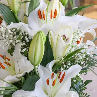 Ramo de lilium blanco · Zeus