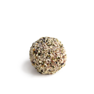PROTEIN BALL  HEMP ORANGE
