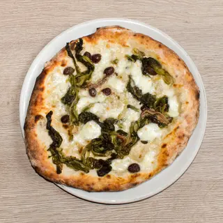 Scarola