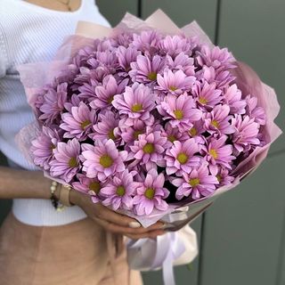 Bukiet różowych margaretek 