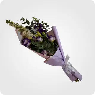 შოპაის და ეუსტომის თაიგული