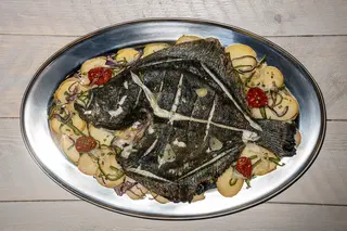 Turbot