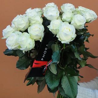 Bukiet z 20 białych róż