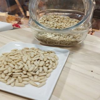 Piñones País Catalunya 50G