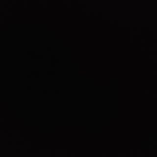 Calamar prajit cu susan