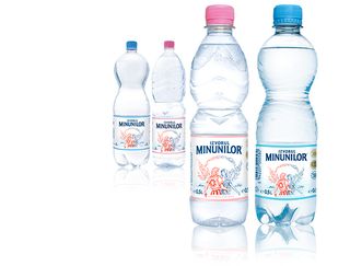 Izvorul minunilor (gazată)