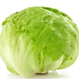 INSALATA ICEBERG