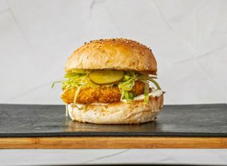 Burger garaż standard kurak