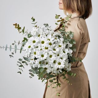 Ramo De Margaritas Blancas