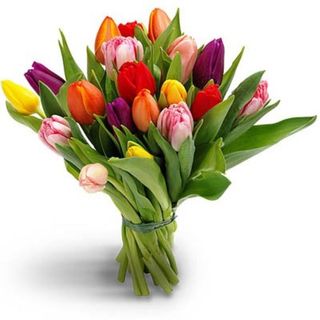 Buchet 19 lalele multicolore