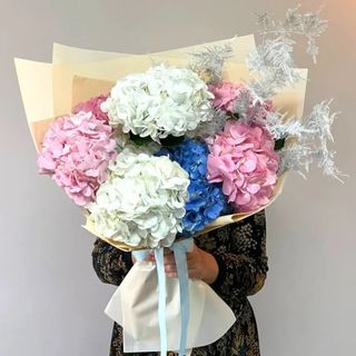 Buchet din 7 hortensii mix