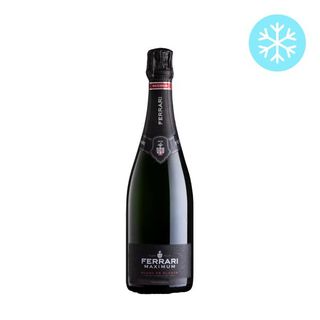 Maximum Blanc de Blancs Trento DOC - freddo