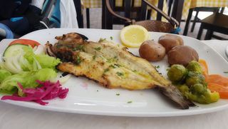 Robalo Escalado