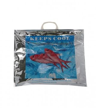 (108441) Vrećica termo 48x40cm BW3-016