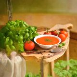 Tomato Soup