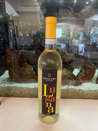 Lugana DOC SCOLLARI 13% vol 75 cl 