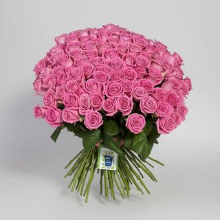 51 рожева троянда