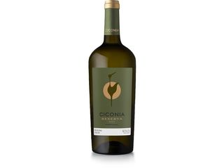 Ciconia Reserva Branco Alentejo