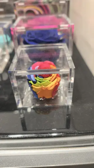 Flowercube Multicolor